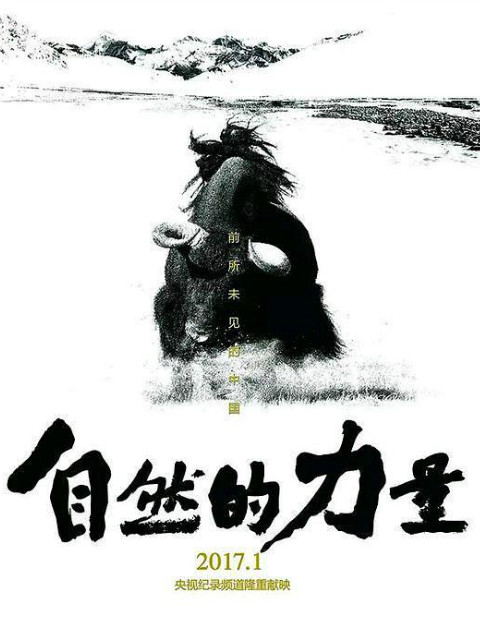 自然的力量封面图