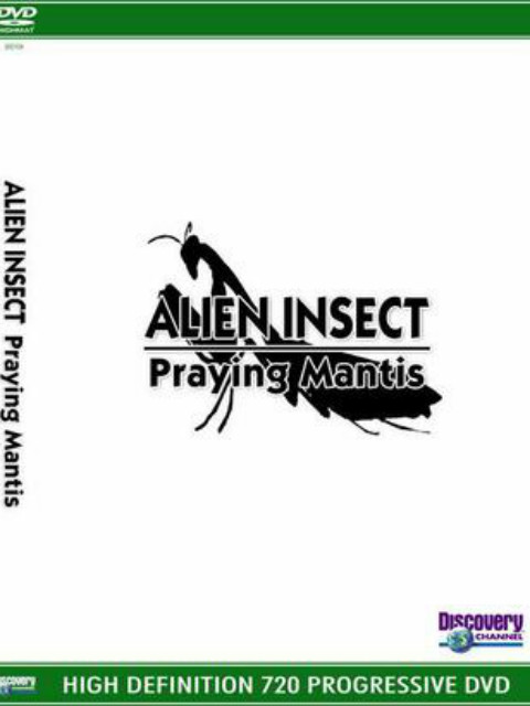 异形昆虫：螳螂封面图