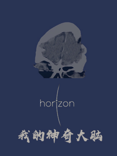 地平线 我的神奇大脑封面图
