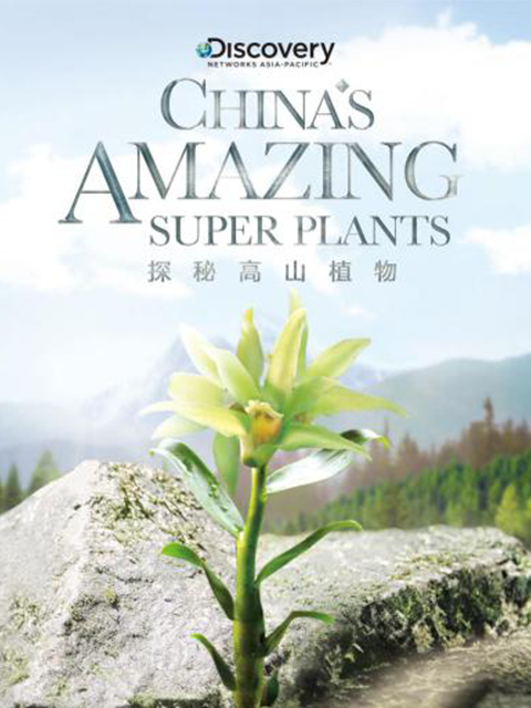 探秘高山植物封面图