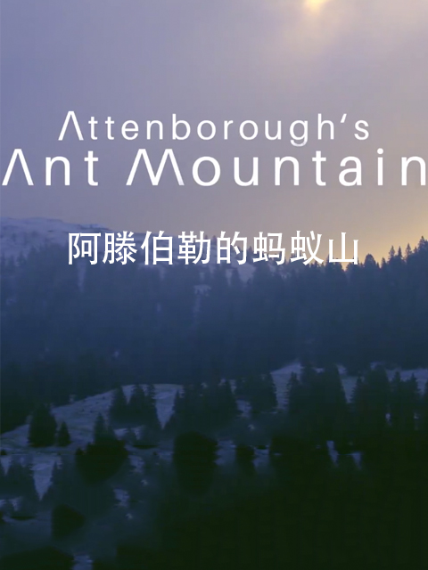 阿滕伯勒的蚂蚁山封面图