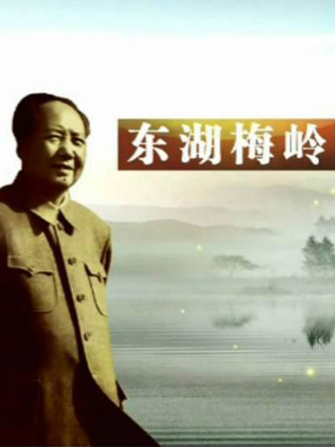 东湖梅岭毛泽东封面图