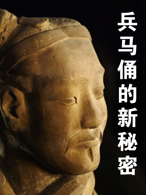 兵马俑的新秘密封面图