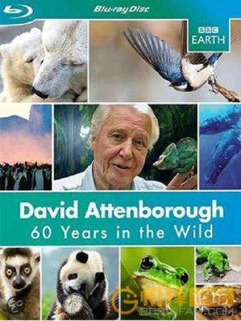 爱登堡：探索自然60年封面图