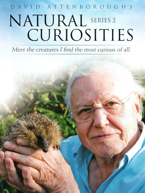 大卫·爱登堡的自然奇迹 第二季封面图