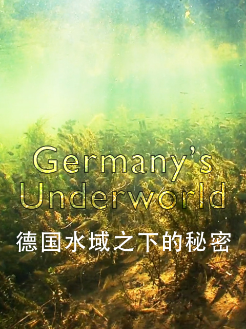 德国水域之下的秘密封面图
