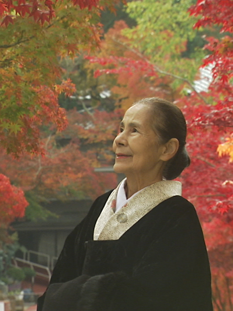 鹤子的茶道之旅封面图