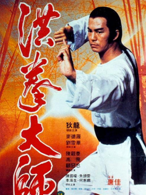 洪拳大师封面图