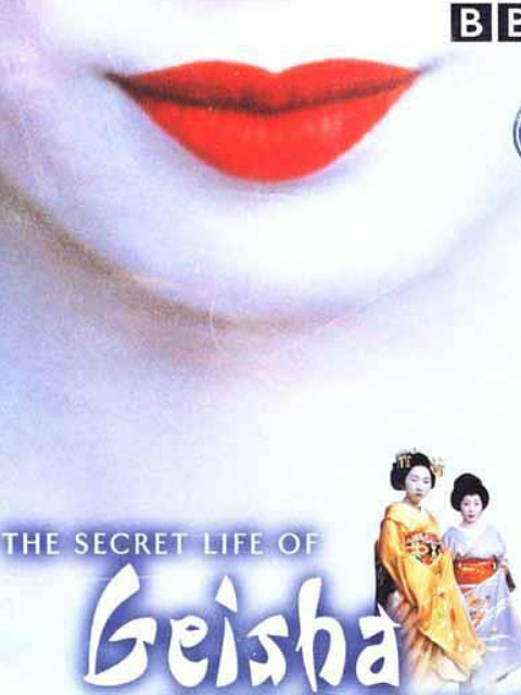 艺伎的秘密生活封面图