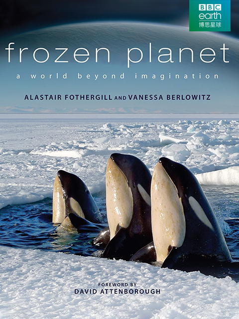 冰冻星球封面图