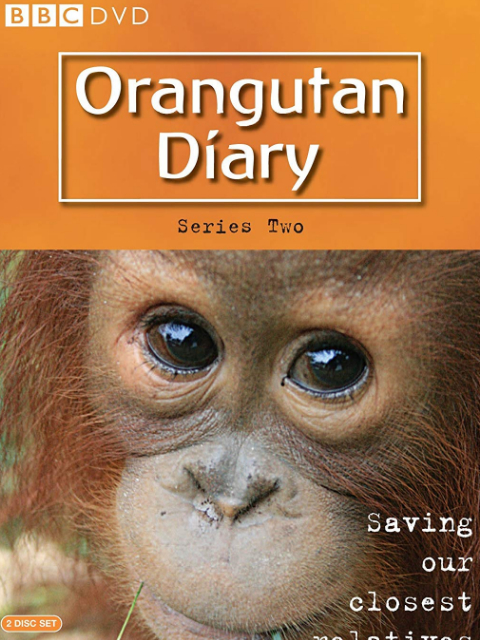 猩猩的日记 第二季封面图