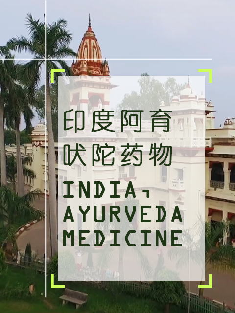 印度阿育吠陀药物封面图