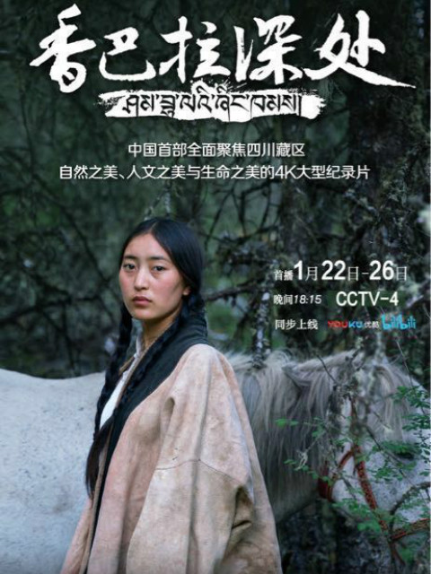 香巴拉深处封面图