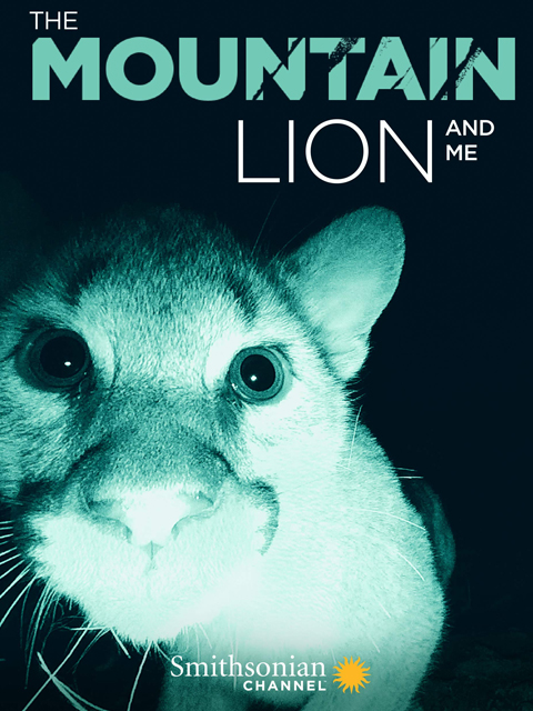 美洲狮与我封面图