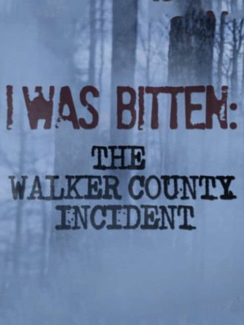 沃克郡神秘攻击事件封面图