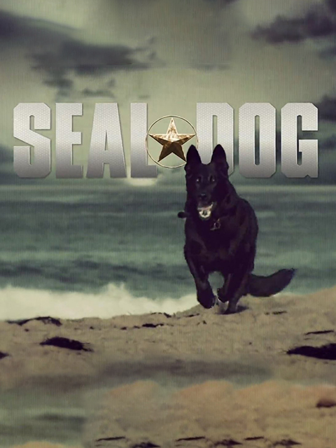 海豹突击犬封面图