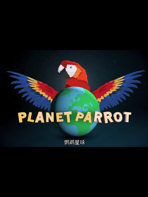 鹦鹉星球封面图