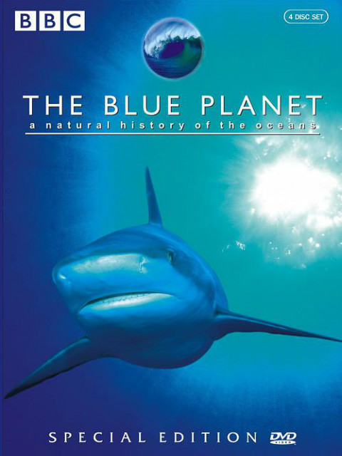 蓝色星球封面图