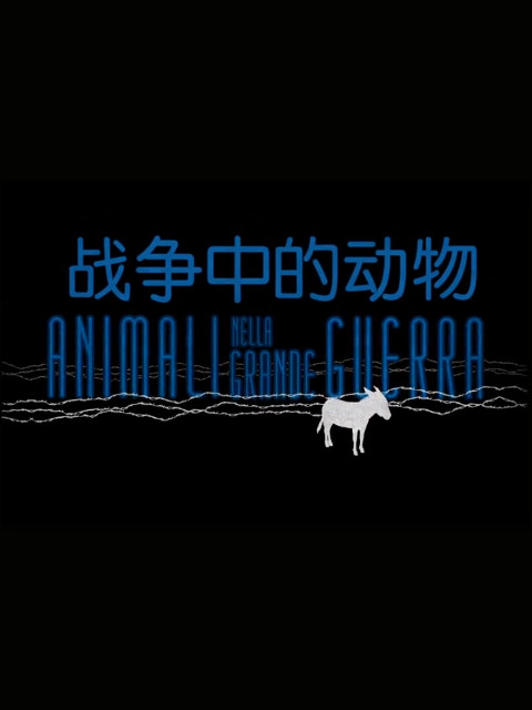战争中的动物封面图