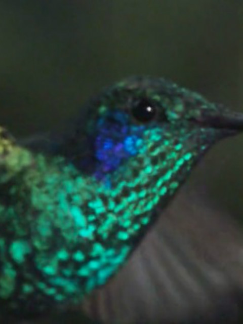 自然奇境第三季封面图