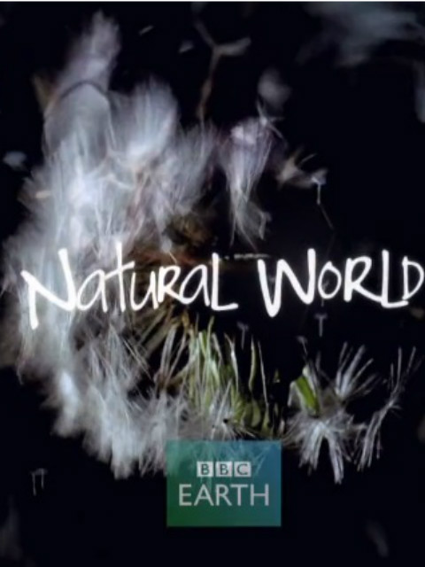 自然世界：动物之家封面图