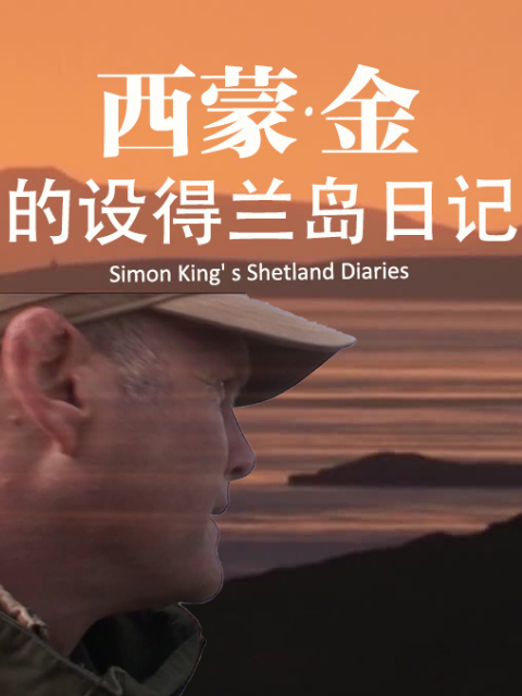 西蒙·金的设得兰岛日记封面图