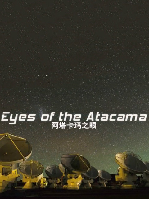 阿塔卡玛之眼封面图