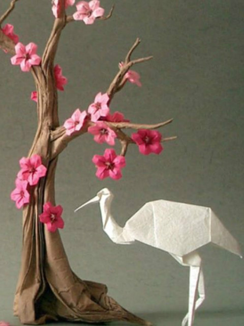 传家本事封面图