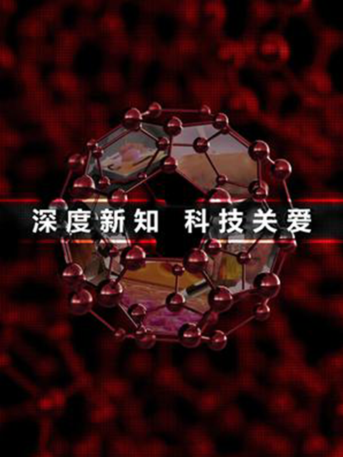 深度新知：科技关爱封面图