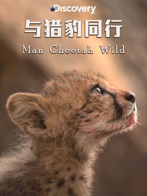 与猎豹同行封面图