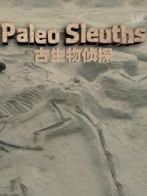 古生物侦探封面图