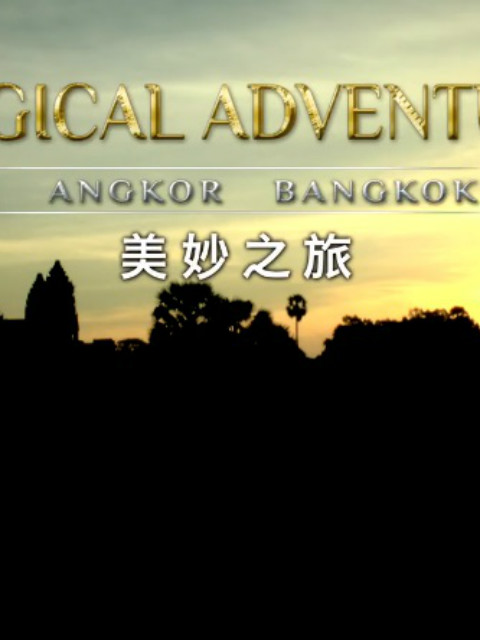 美妙之旅封面图