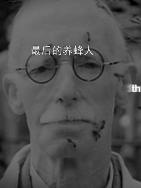 最后的养蜂人封面图