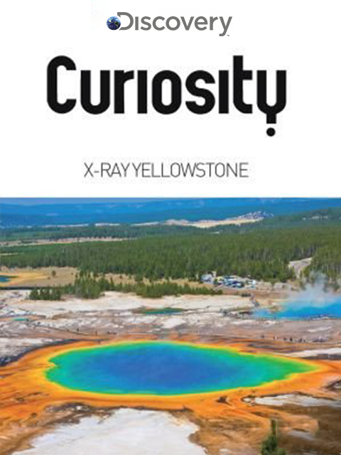 绝对好奇：透视黄石公园封面图