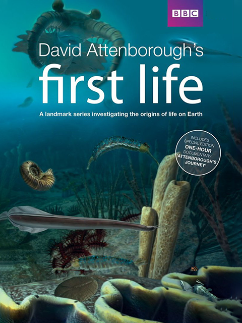 生命的起源封面图