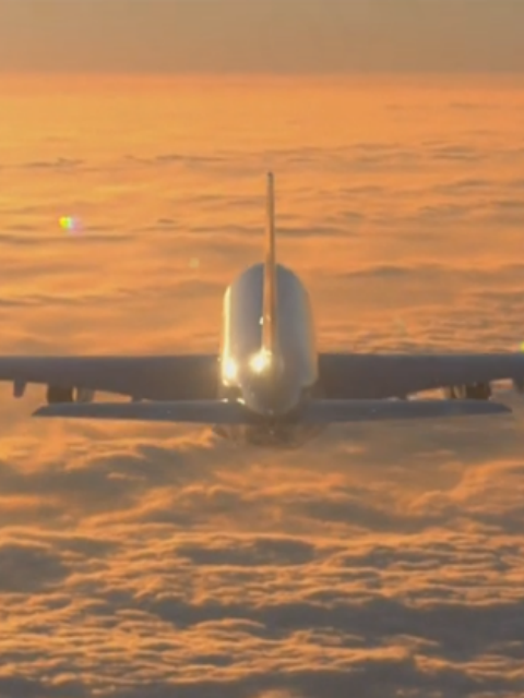 世界航空公司：空中奢华之战封面图