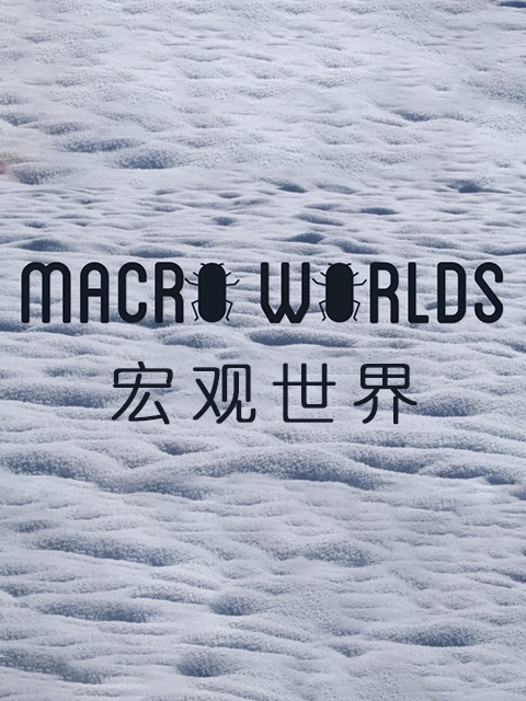 宏观世界封面图