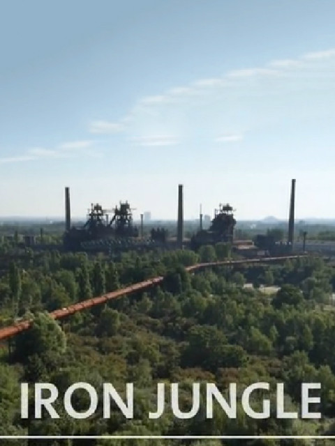 钢铁丛林封面图