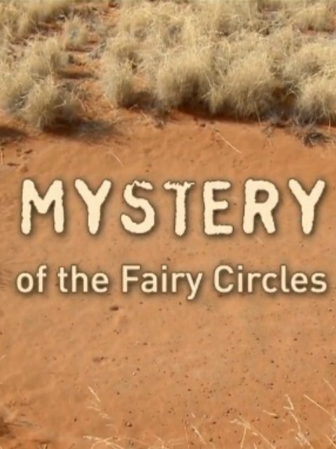 仙境之谜封面图