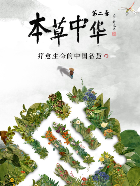 本草中华 第二季封面图