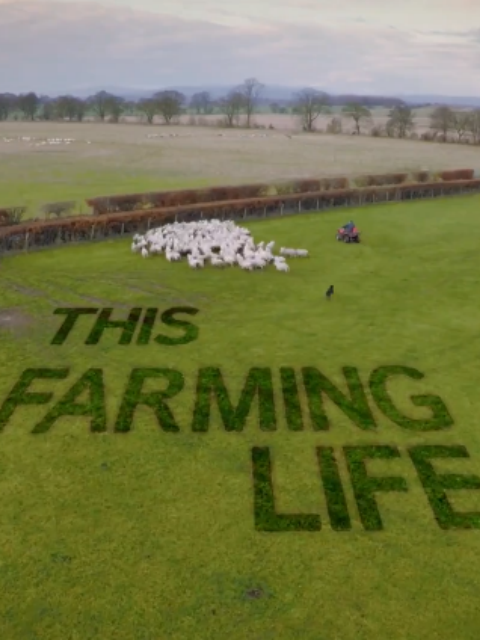 农耕生活封面图