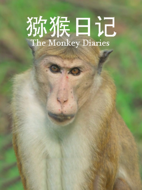 猕猴日记封面图