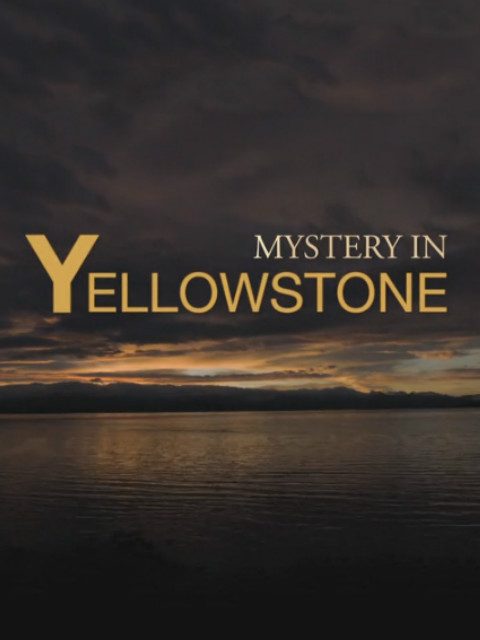 黄石公园之谜封面图