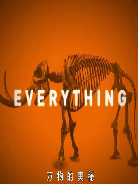 万物的奥秘封面图