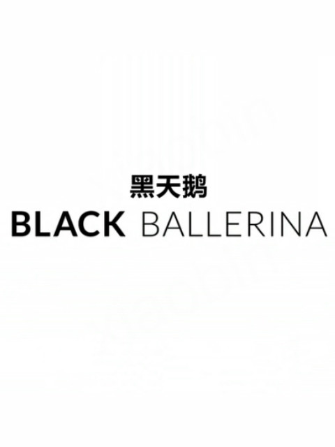 黑天鹅封面图