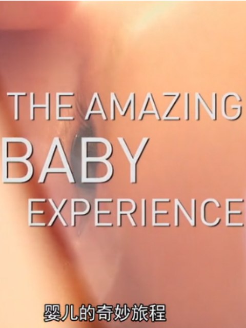 宝宝的奇妙旅程封面图