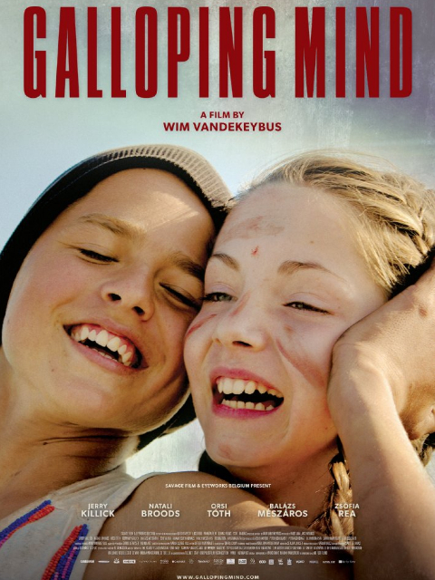 舞动的心封面图