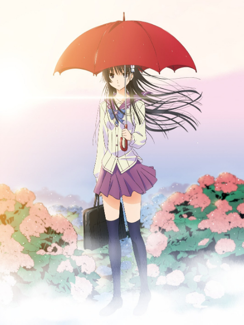 散华礼弥封面图