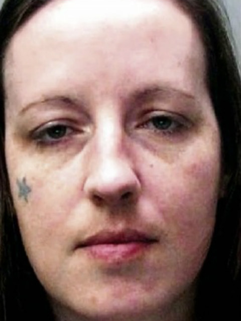 天网恢恢 第一季封面图