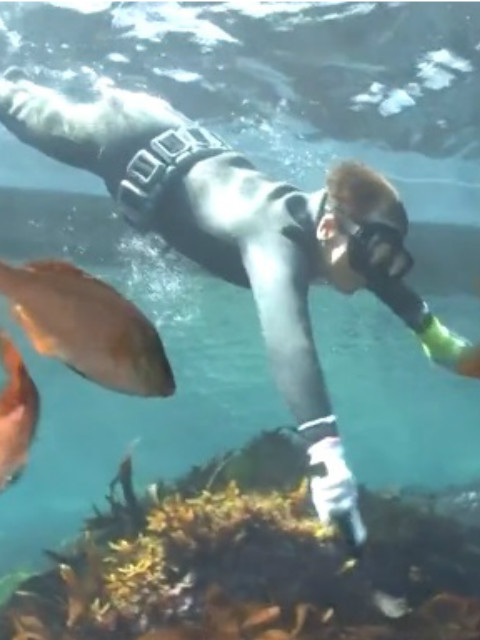 春临神明之海封面图